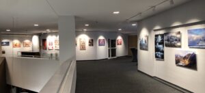 aktuelle Ausstellung